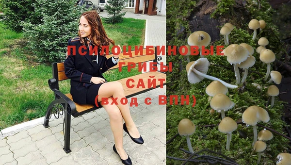 стафф Алексин