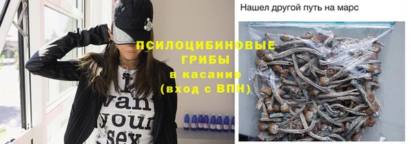соль ск Алексеевка