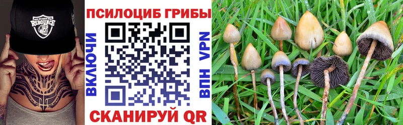 где можно купить наркотик  Власиха  Галлюциногенные грибы GOLDEN TEACHER 